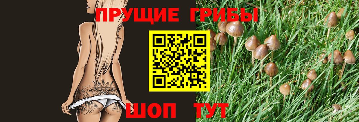 Галлюциногенные грибы Psilocybine cubensis  Вход с VPN  Заводоуковск 